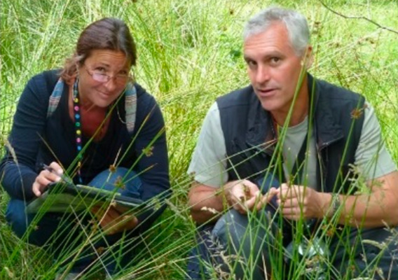 Botanists in grass